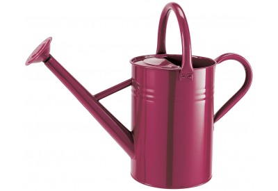 Gardman Metal Watering Can (4.5 litres / 1 gallon)